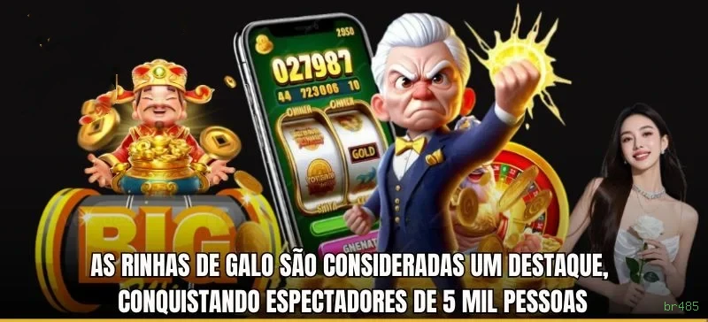 Streaming 4K no cassino ao vivo da br485